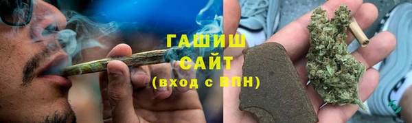 бошки Белокуриха
