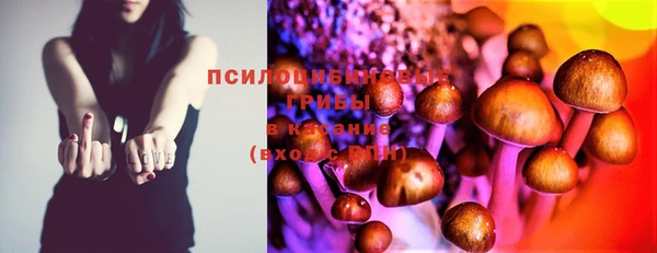 бошки Белокуриха