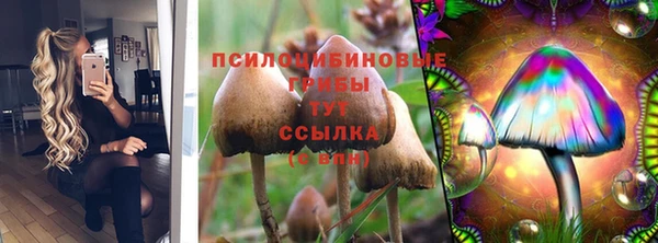 бошки Белокуриха