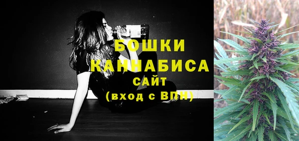 бошки Белокуриха
